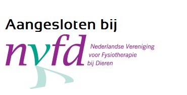 logo NVFD